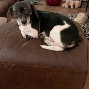 Meet your Posher, Lindsey